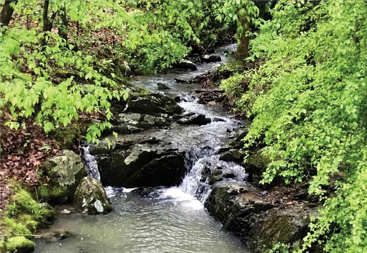 Secluded Home With Mini Waterfall And A Creek In ฮอตสปริงส์ ภายนอก รูปภาพ